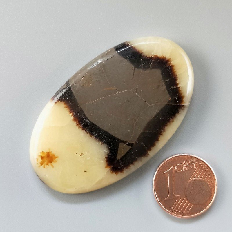 Cabochon di Settario Giallo Naturale Ovale, Piatto e Liscio, 49x29x6 mm, 15,50 g, Fatto a Mano