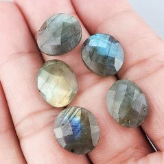 Briolette di Labradorite, Forma Irregolare, Sfaccettata a Mano, 12-16 mm