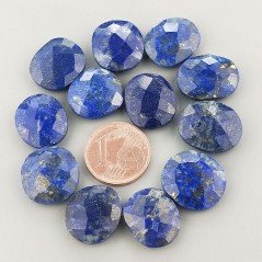 Lapis Lazuli  Briolette Forma Irregolare Sfaccettato Fatto a Mano 12-16mm 1pz