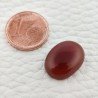 Corniola Naturale Forma Ovale Piatto Cabochon Liscio Fatto a Mano 15X11X4mm 7,00 Carati 1pz