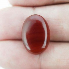 Corniola Naturale Forma Ovale Piatto Cabochon Liscio Fatto a Mano  18X13X4mm 7,75 Carati 1pz