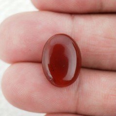 Corniola Naturale Forma Ovale Piatto Cabochon Liscio Fatto a Mano  16X12X4mm 7,00 Carati 1pz