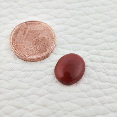 Corniola Naturale Forma Ovale Piatto Cabochon Liscio Fatto a Mano  12X10X3mm 2,95 Carati 1pz