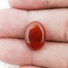 Corniola Naturale Forma Ovale Piatto Cabochon Liscio Fatto a Mano 16X12X3mm 5,70 Carati 1pz