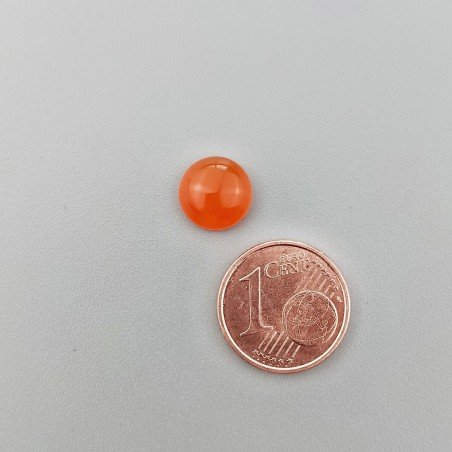 Corniola Naturale Forma Tondo Piatto Cabochon Liscio Fatto a Mano 9mm 1pz