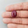 Giada Rubino Forma Ovale Piatto Cabochon Liscio Fatto a Mano 18X13X7mm 13,60 Carati 1pz