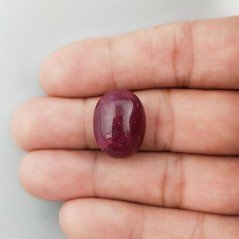 Giada Rubino Forma Ovale Piatto Cabochon Liscio Fatto a Mano 19X14X9mm 19 Carati 1pz