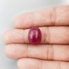 Giada Rubino Forma Ovale Piatto Cabochon Liscio Fatto a Mano 17X13X10mm 18,40 Carati 1pz