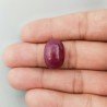 Giada Rubino Forma Ovale Piatto Cabochon Liscio Fatto a Mano 19X13X10mm 19,75 Carati 1pz