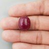 Giada Rubino Forma Ovale Piatto Cabochon Liscio Fatto a Mano 17X14X9mm 17,50 Carati 1pz