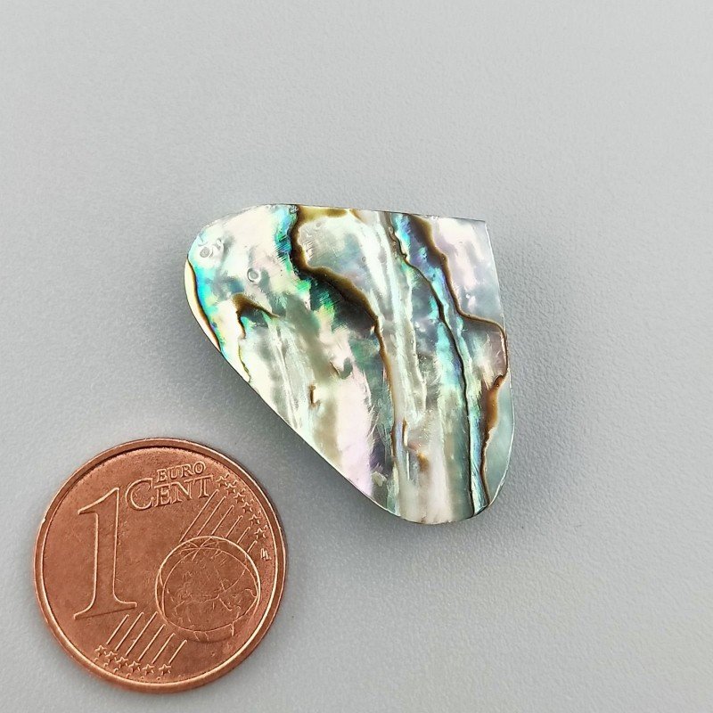 Conchiglia Abalone Naturale Forma Cuore Piatto Cabochon Liscio Fatto a Mano 25X17X4mm 15,85 Carati 1pz