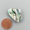 Conchiglia Abalone Naturale Forma Cuore Piatto Cabochon Liscio Fatto a Mano 25X17X4mm 15,85 Carati 1pz