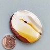 Mokaite Naturale Forma Ovale Piatto Cabochon Liscio Fatto a Mano 40X34X7mm 16,55gm 1pz