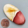 Mokaite Naturale Forma Ovale Piatto Cabochon Liscio Fatto a Mano 49X25X6mm 12,20gm 1pz