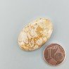 Corallo Fossile Naturale Forma Ovale Piatto Cabochon Liscio Fatto a Mano 30X19X6mm 5,69gm 1pz