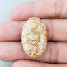 Corallo Fossile Naturale Forma Ovale Piatto Cabochon Liscio Fatto a Mano 30X19X6mm 5,69gm 1pz