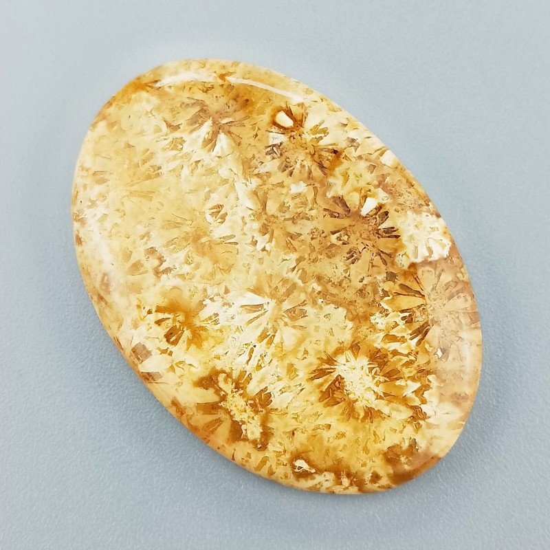 Corallo Fossile Naturale Forma Ovale Piatto Cabochon Liscio Fatto a Mano 40X27X4mm 9,15gm 1pz