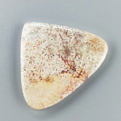Corallo Fossile Naturale Forma Cuore Piatto Cabochon Liscio Fatto a Mano 38X44X5mm 11,88gm 1pz