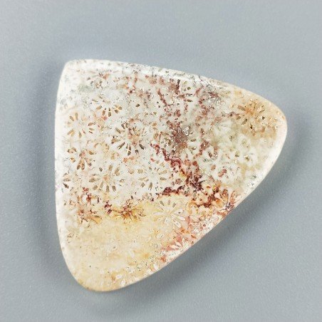 Corallo Fossile Naturale Forma Cuore Piatto Cabochon Liscio Fatto a Mano 38X44X5mm 11,88gm 1pz