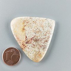 Corallo Fossile Naturale Forma Cuore Piatto Cabochon Liscio Fatto a Mano 38X44X5mm 11,88gm 1pz