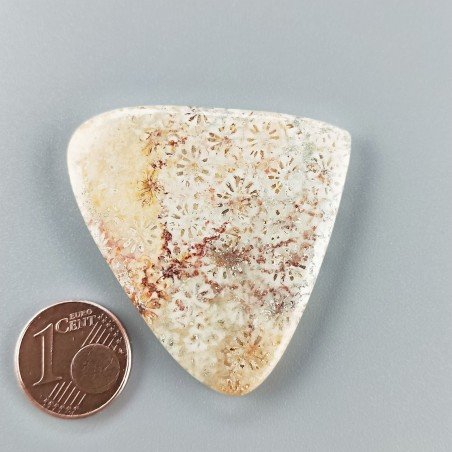 Corallo Fossile Naturale Forma Cuore Piatto Cabochon Liscio Fatto a Mano 38X44X5mm 11,88gm 1pz