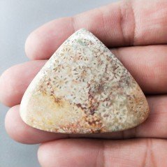 Corallo Fossile Naturale Forma Cuore Piatto Cabochon Liscio Fatto a Mano 38X44X5mm 11,88gm 1pz