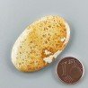 Corallo Fossile Naturale Forma Ovale Piatto Cabochon Liscio Fatto a Mano 41X25X5mm 8,90gm 1pz