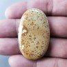 Corallo Fossile Naturale Forma Ovale Piatto Cabochon Liscio Fatto a Mano 41X25X5mm 8,90gm 1pz
