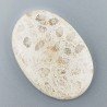 Corallo Fossile Naturale Forma Ovale Piatto Cabochon Liscio Fatto a Mano 41X28X5mm 9,71gm 1pz