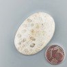 Corallo Fossile Naturale Forma Ovale Piatto Cabochon Liscio Fatto a Mano 41X28X5mm 9,71gm 1pz
