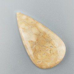 Corallo Fossile Naturale Forma Goccia Piatto Cabochon Liscio Fatto a Mano 51X27X5mm 10,68gm 1pz