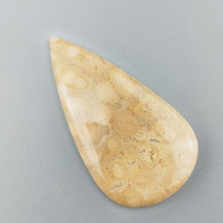 Corallo Fossile Naturale Forma Goccia Piatto Cabochon Liscio Fatto a Mano 51X27X5mm 10,68gm 1pz