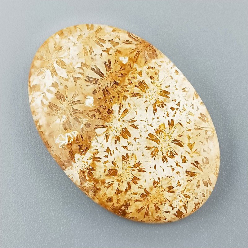 Corallo Fossile Naturale Forma Ovale Piatto Cabochon Liscio Fatto a Mano 38X26X5mm 7,91gm 1pz