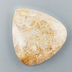 Corallo Fossile Naturale Forma Cuore Piatto Cabochon Liscio Fatto a Mano 34X31X6mm 10,33gm 1pz