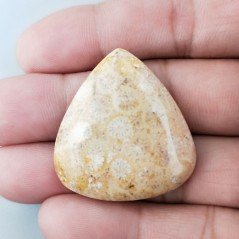Corallo Fossile Naturale Forma Cuore Piatto Cabochon Liscio Fatto a Mano 34X31X6mm 10,33gm 1pz