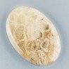 Corallo Fossile Naturale Forma Ovale Piatto Cabochon Liscio Fatto a Mano 38X25X5mm 9,76gm 1pz