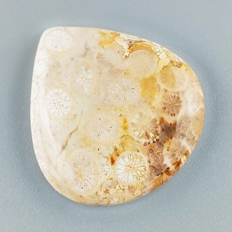Corallo Fossile Naturale Forma Cuore Piatto Cabochon Liscio Fatto a Mano 32X30X5mm 7,93gm 1pz