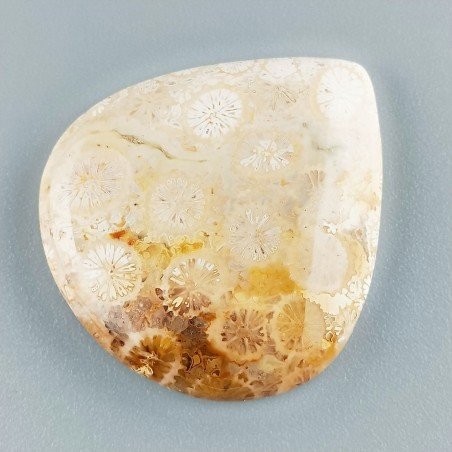 Corallo Fossile Naturale Forma Cuore Piatto Cabochon Liscio Fatto a Mano 32X30X5mm 7,93gm 1pz