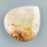 Corallo Fossile Naturale Forma Cuore Piatto Cabochon Liscio Fatto a Mano 32X30X5mm 7,93gm 1pz