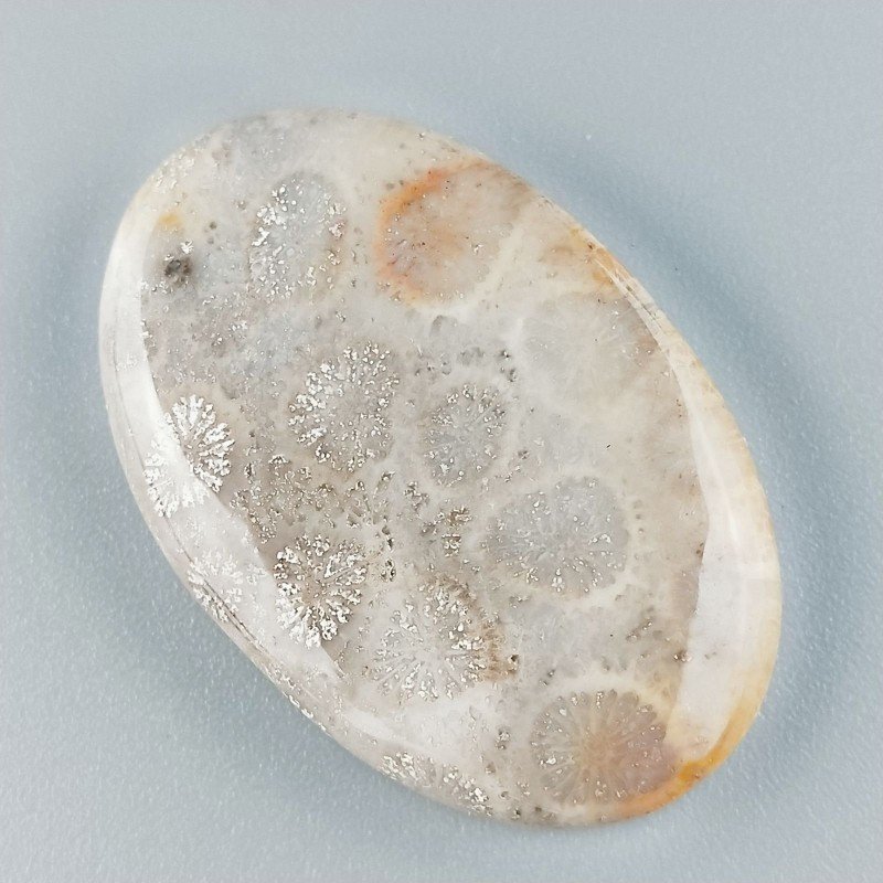 Corallo Fossile Naturale Forma Ovale Piatto Cabochon Liscio Fatto a Mano 38X25X6mm 10,46gm 1pz