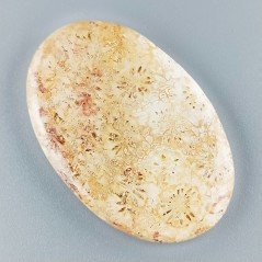 Corallo Fossile Naturale Forma Ovale Piatto Cabochon Liscio Fatto a Mano 44X29X5mm 11,80gm 1pz
