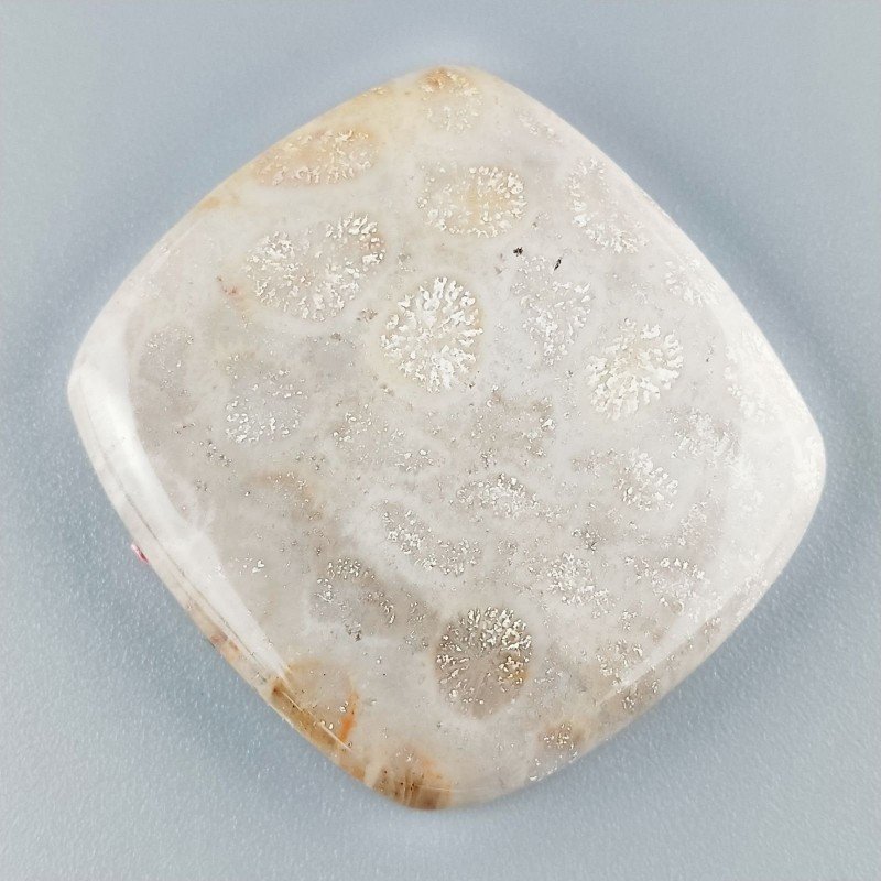 Corallo Fossile Naturale Forma Cuscino Piatto Cabochon Liscio Fatto a Mano 36X33mm 14,64gm 1pz