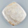Corallo Fossile Naturale Forma Cuscino Piatto Cabochon Liscio Fatto a Mano 36X33mm 14,64gm 1pz