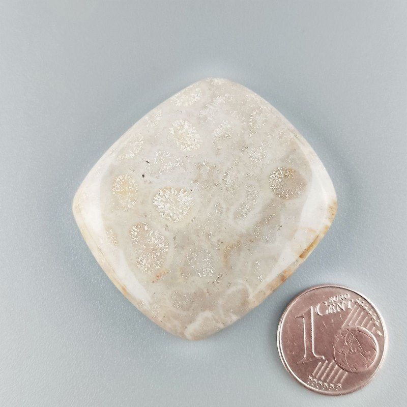 Corallo Fossile Naturale Forma Cuscino Piatto Cabochon Liscio Fatto a Mano 36X33mm 14,64gm 1pz