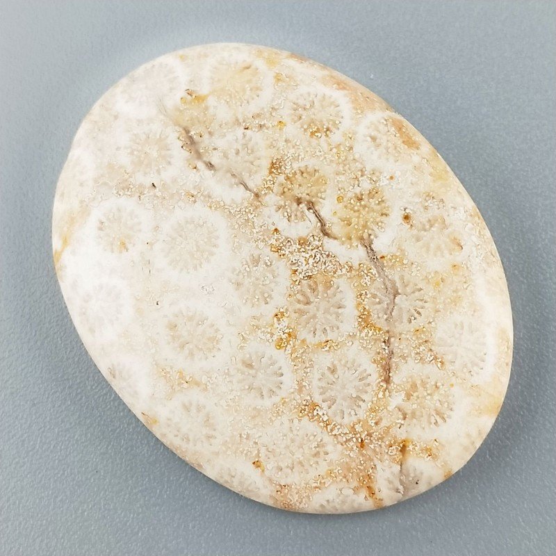 Corallo Fossile Naturale Forma Ovale Piatto Cabochon Liscio Fatto a Mano 37X28X4mm 9,07gm 1pz