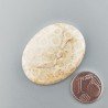 Corallo Fossile Naturale Forma Ovale Piatto Cabochon Liscio Fatto a Mano 37X28X4mm 9,07gm 1pz