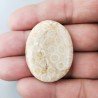 Corallo Fossile Naturale Forma Ovale Piatto Cabochon Liscio Fatto a Mano 37X28X4mm 9,07gm 1pz