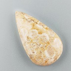 Corallo Fossile Naturale Forma Goccia Piatto Cabochon Liscio Fatto a Mano 22X40X6mm 8,99gm 1pz