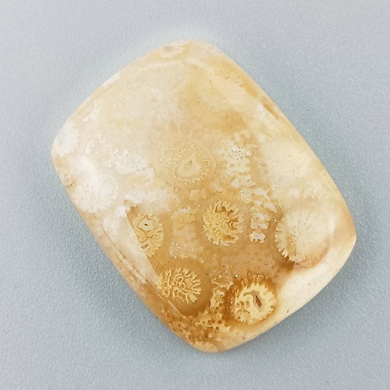 Corallo Fossile Naturale Forma Cuscino Piatto Cabochon Liscio Fatto a Mano 29X22X5mm 6,84gm 1pz