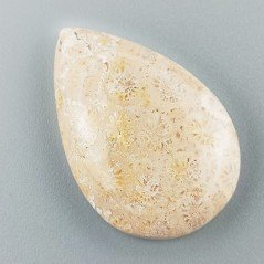 Corallo Fossile Naturale Forma Goccia Piatto Cabochon Liscio Fatto a Mano 23X35X7mm 8,72gm 1pz